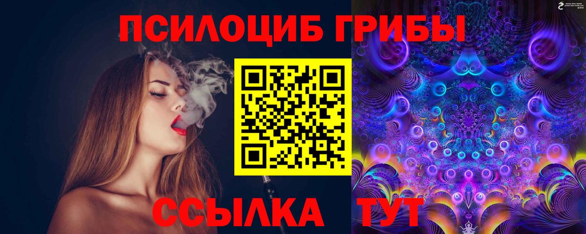 Псилоцибиновые грибы GOLDEN TEACHER  Вход с VPN  Орёл 